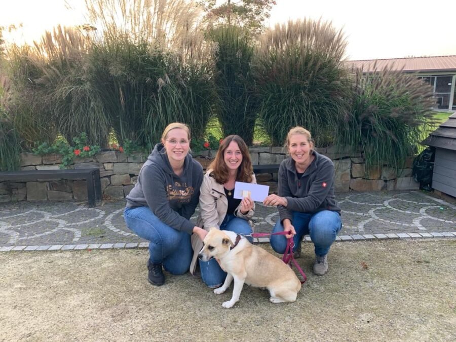 Tierheim Ahaus Tierheim Ahaus