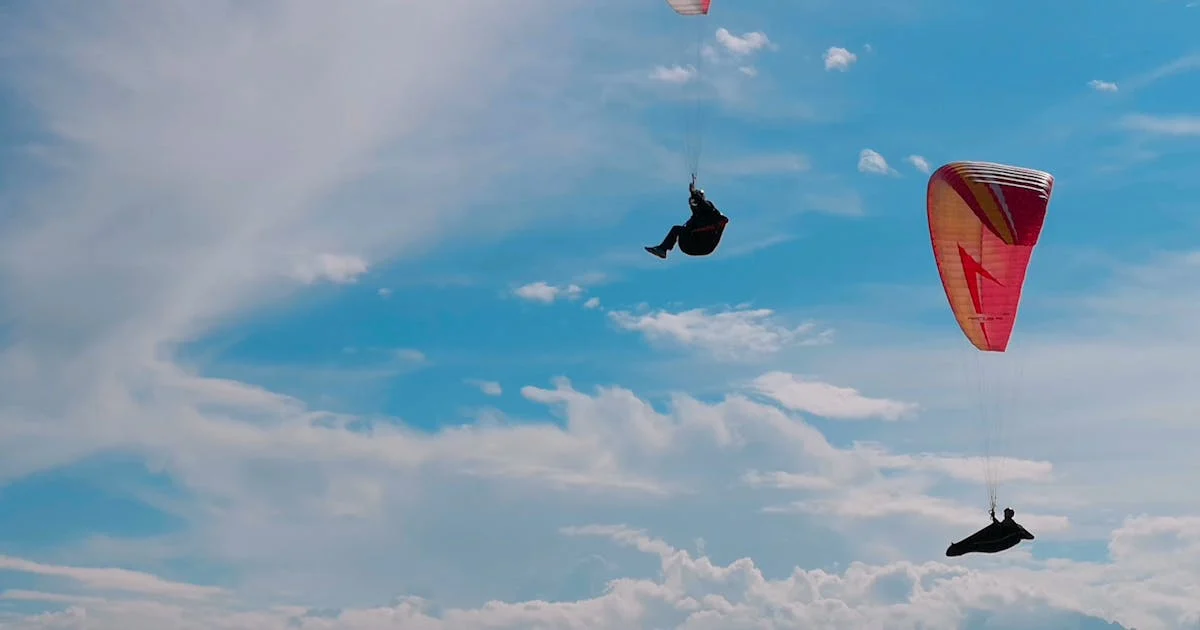 Wolf Paragliding Service